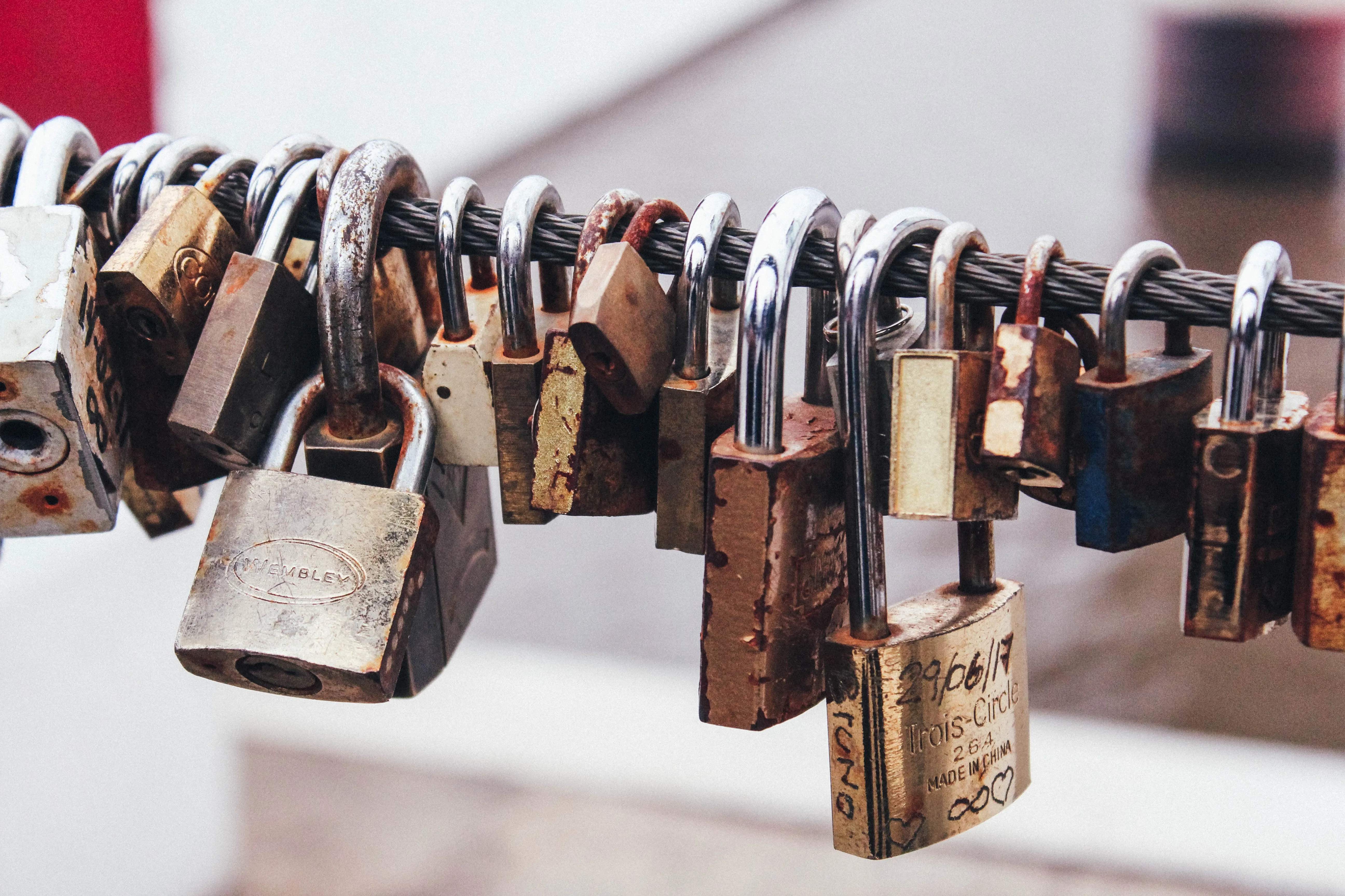 Padlocks locked to a cable.